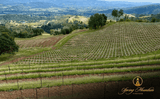 Spring Mountain Winery: Legends of Spring Mountain Library Tasting - Thursday, July 30, 2026 at 6:30pm