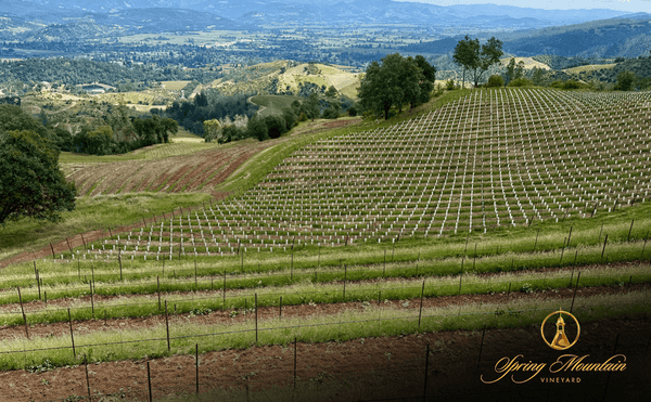 Spring Mountain Winery: Legends of Spring Mountain Library Tasting - Thursday, July 30, 2026 at 6:30pm